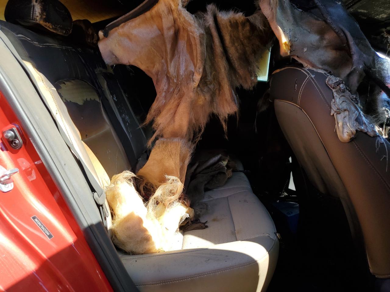 2018 Hyundai Elantra Sel VIN: 5NPD84LF9JH215544 Lot: 52975704