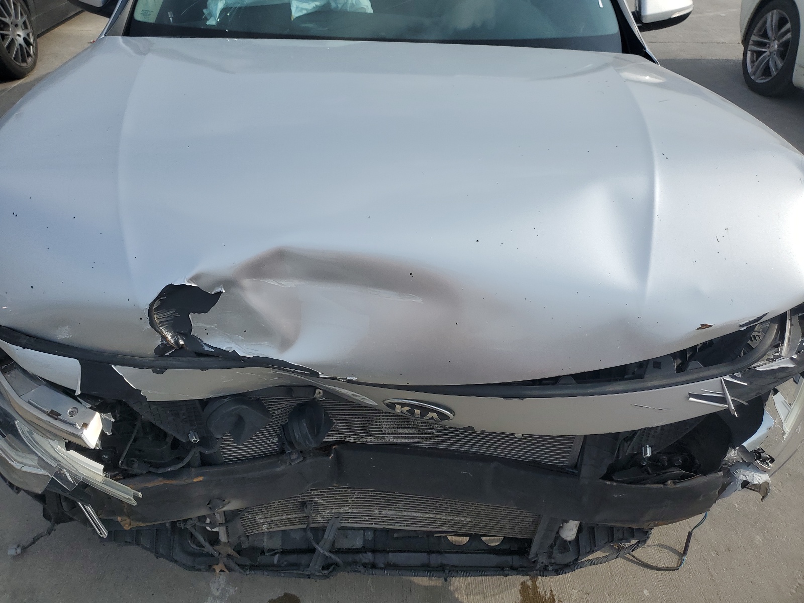 5XXGT4L37KG307539 2019 Kia Optima Lx