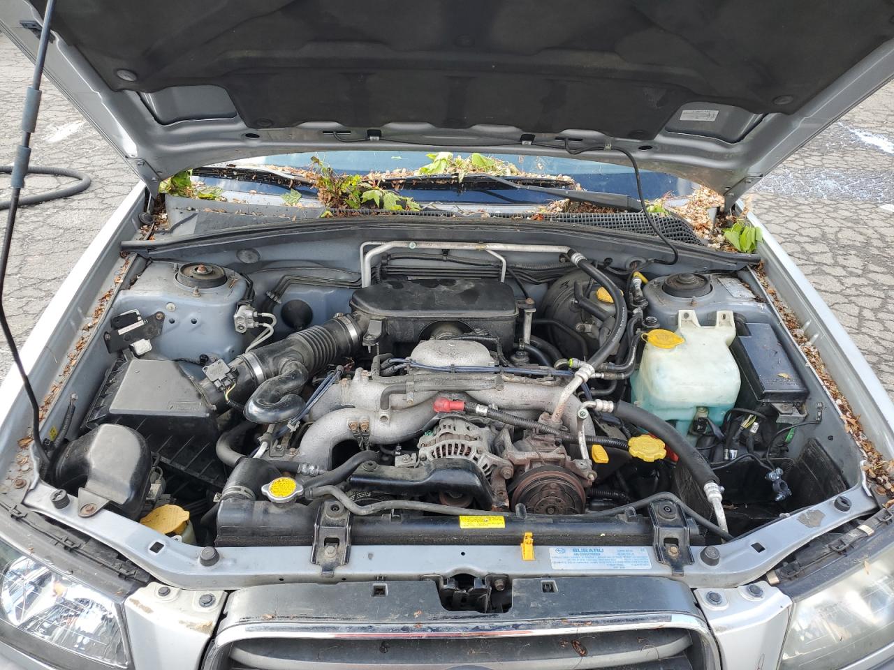 JF1SG63625H751221 2005 Subaru Forester 2.5X