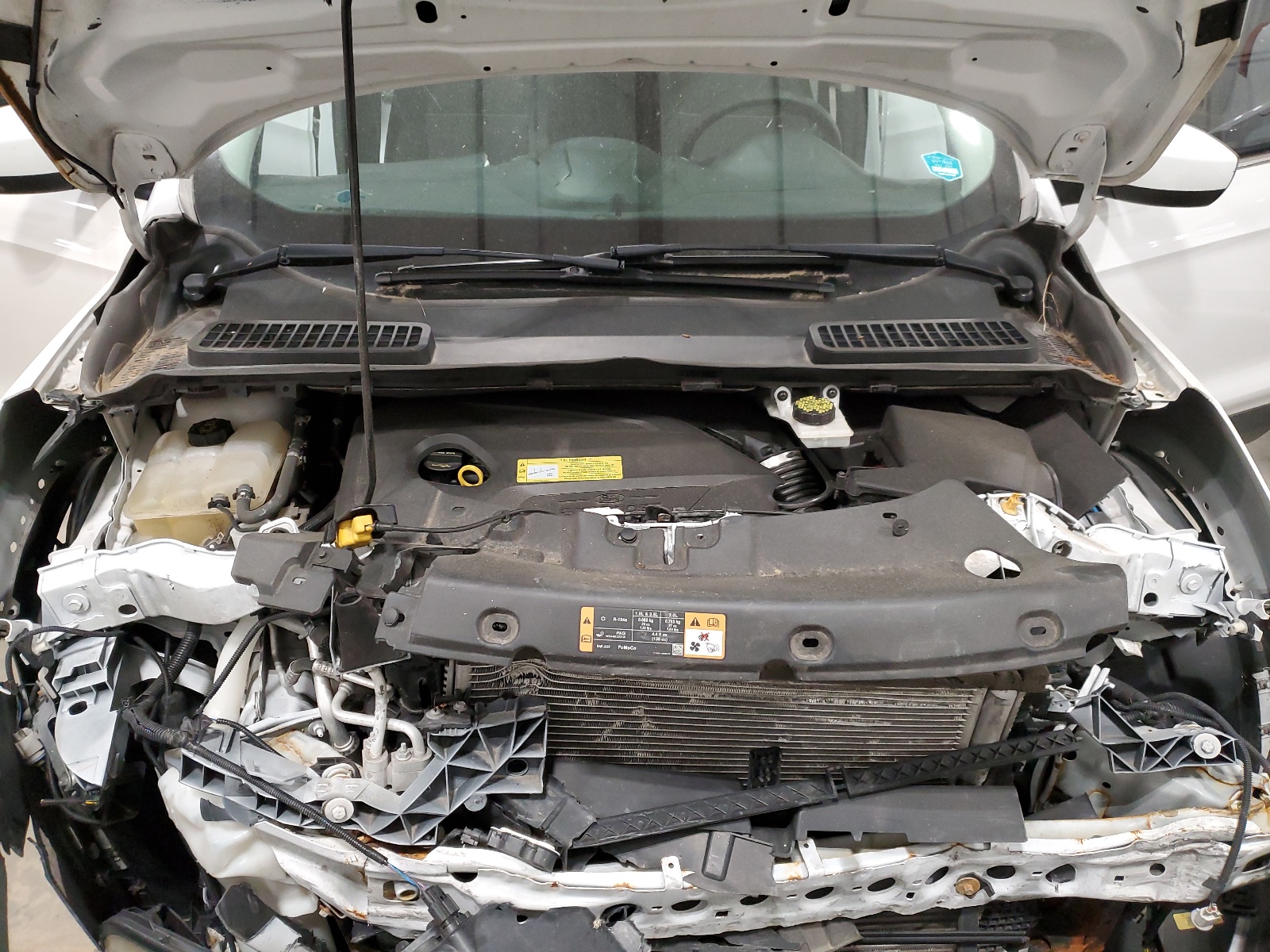 1FMCU0GXXEUC93860 2014 Ford Escape Se