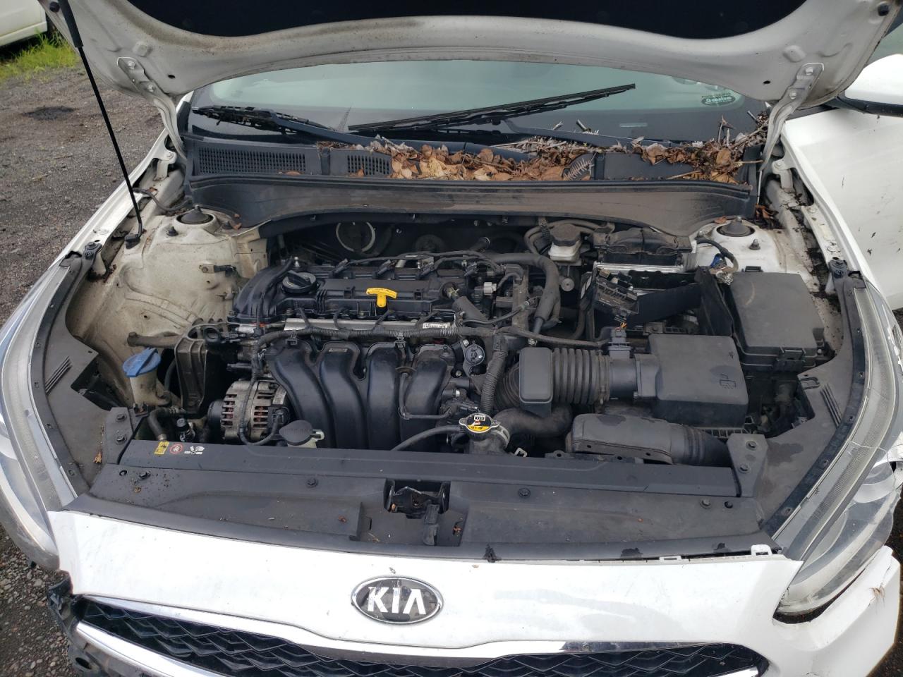 3KPF34AD7KE047790 2019 Kia Forte Gt Line