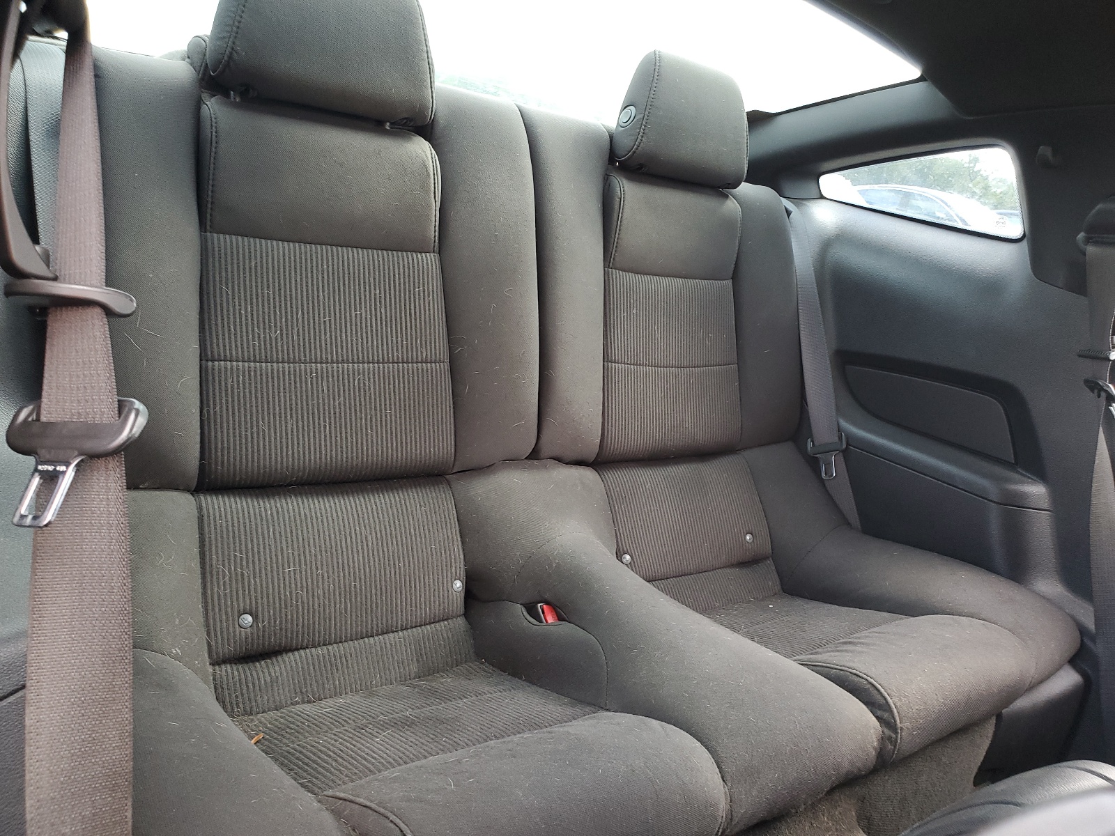 1ZVBP8AM7C5242390 2012 Ford Mustang