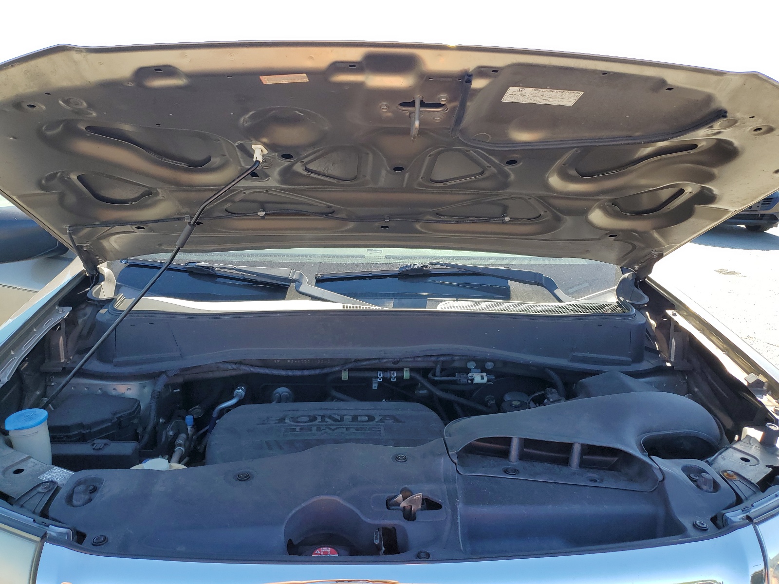 5FNYF3H52BB043343 2011 Honda Pilot Exl