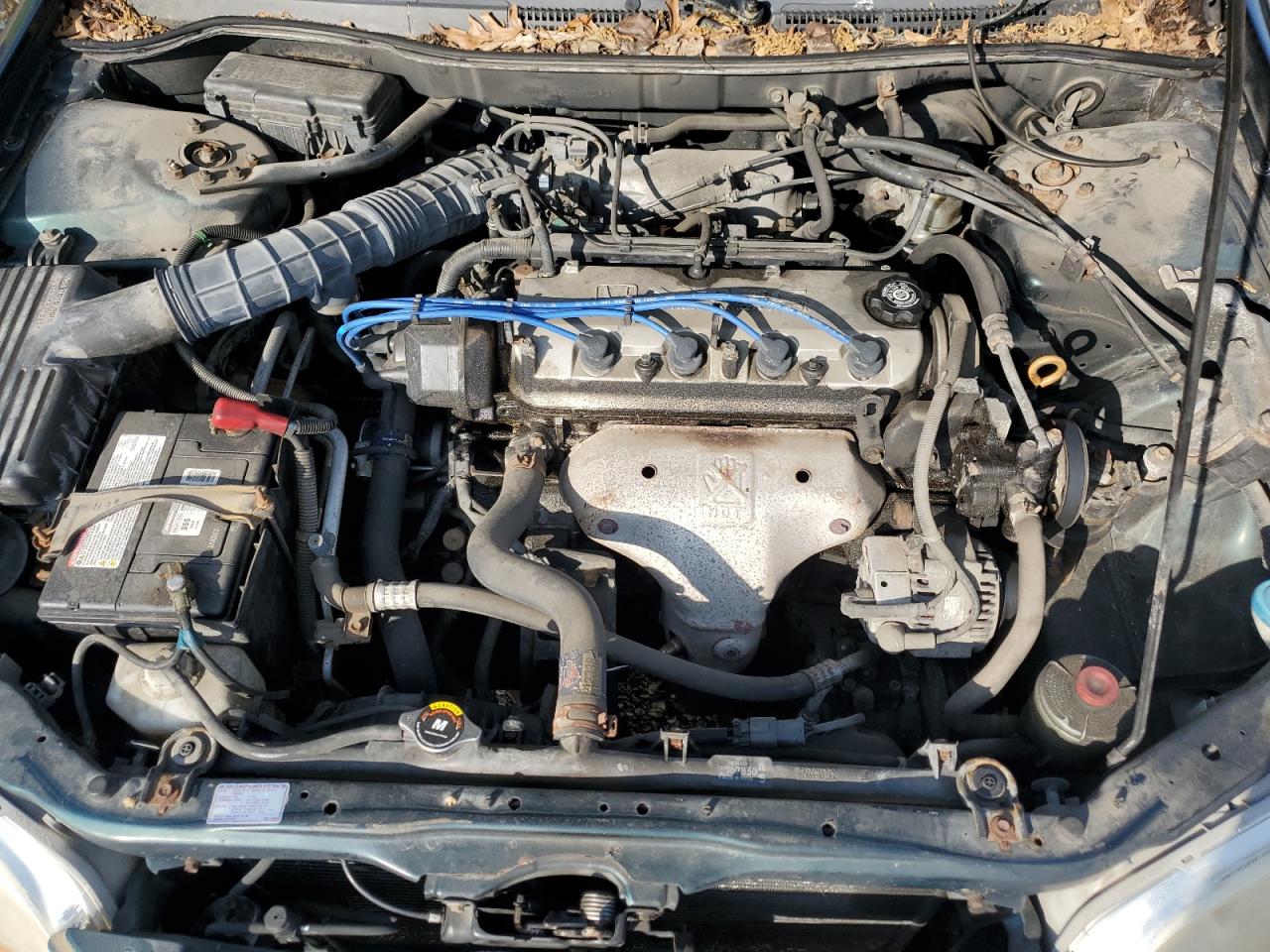 1999 Honda Accord Lx VIN: JHMCG5642XC003439 Lot: 53349924