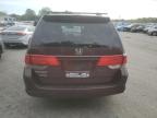 2009 Honda Odyssey Exl للبيع في Glassboro، NJ - Minor Dent/Scratches