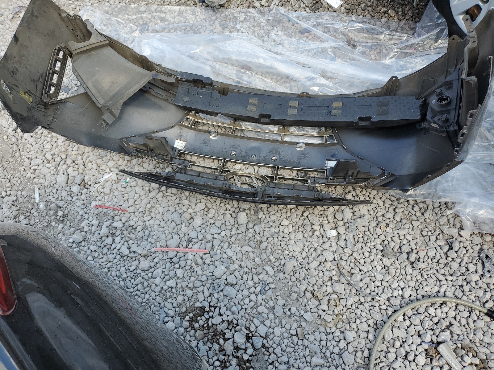 5NPD74LF9KH487256 2019 Hyundai Elantra Se