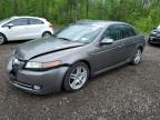 2008 ACURA TL  for sale at Copart ON - COOKSTOWN