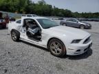 2014 Ford Mustang  zu verkaufen in Gastonia, NC - Side