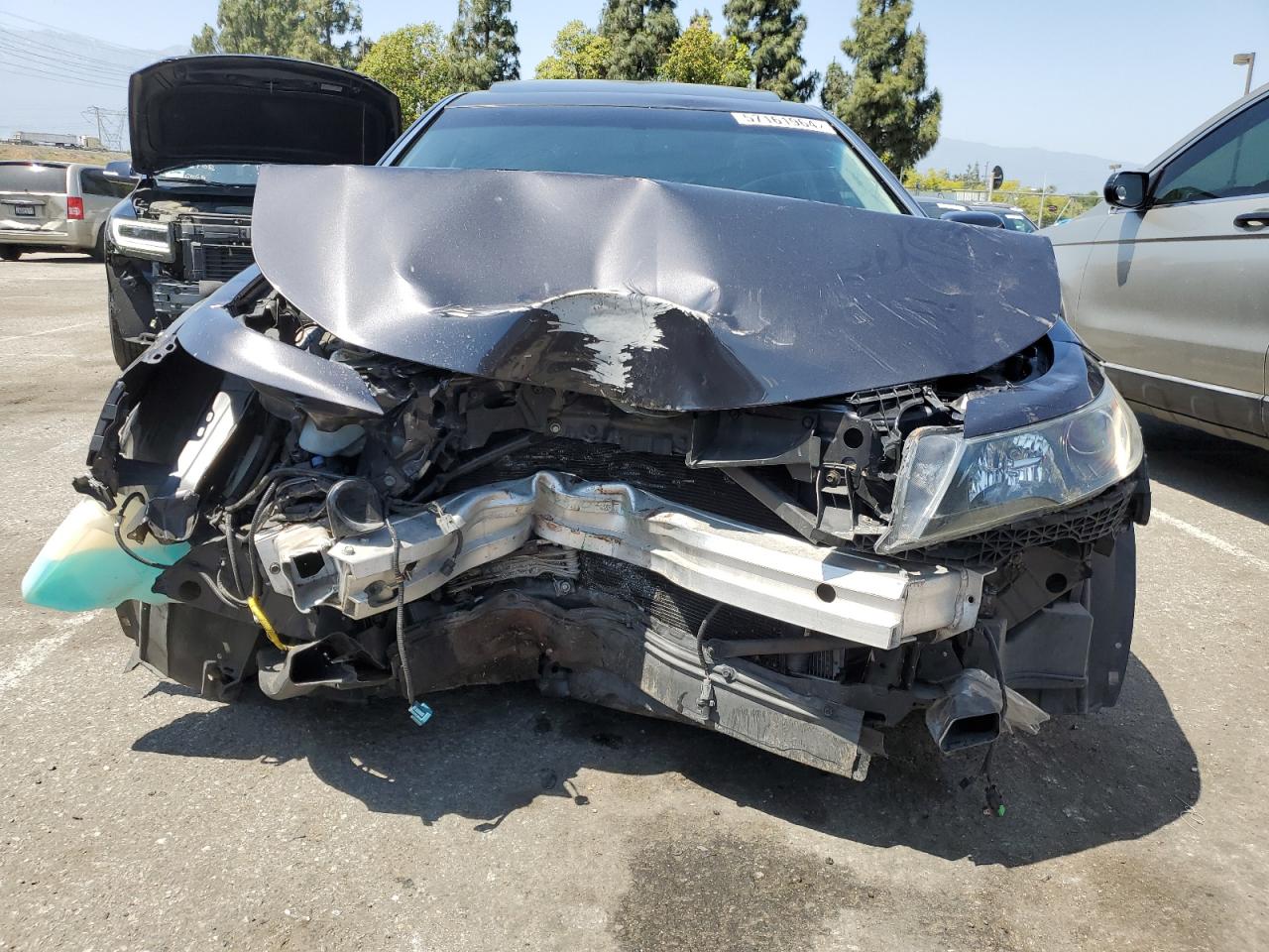 VIN 19UUA9F52DA005093 2013 ACURA TL no.5