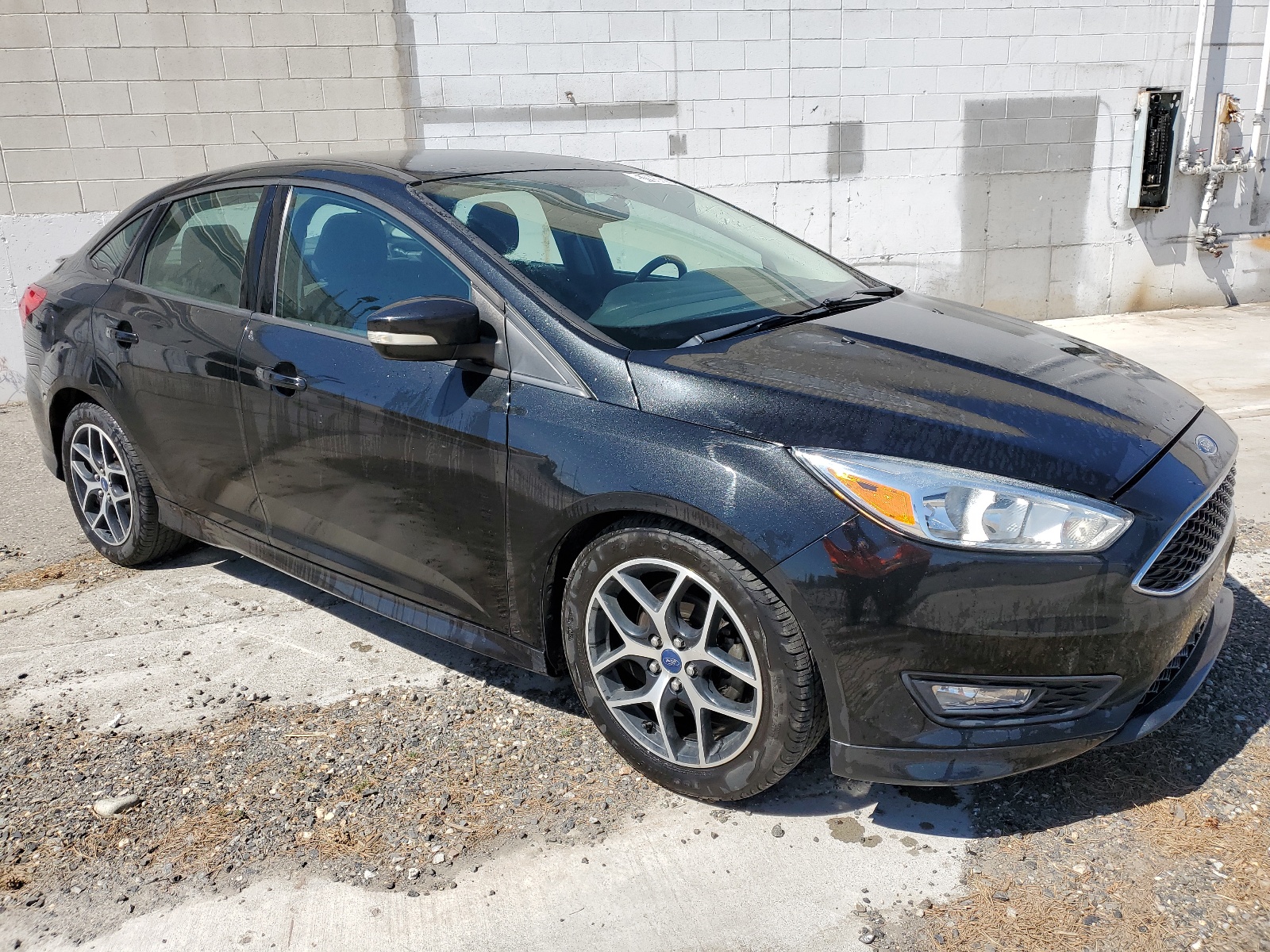 2015 Ford Focus Se vin: 1FADP3F20FL249144