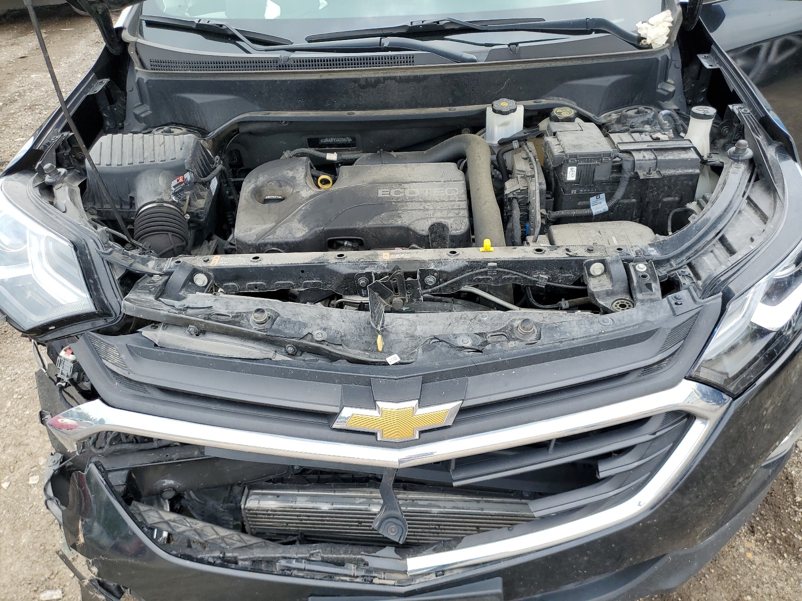 2GNAXJEV3J6203698 2018 Chevrolet Equinox Lt