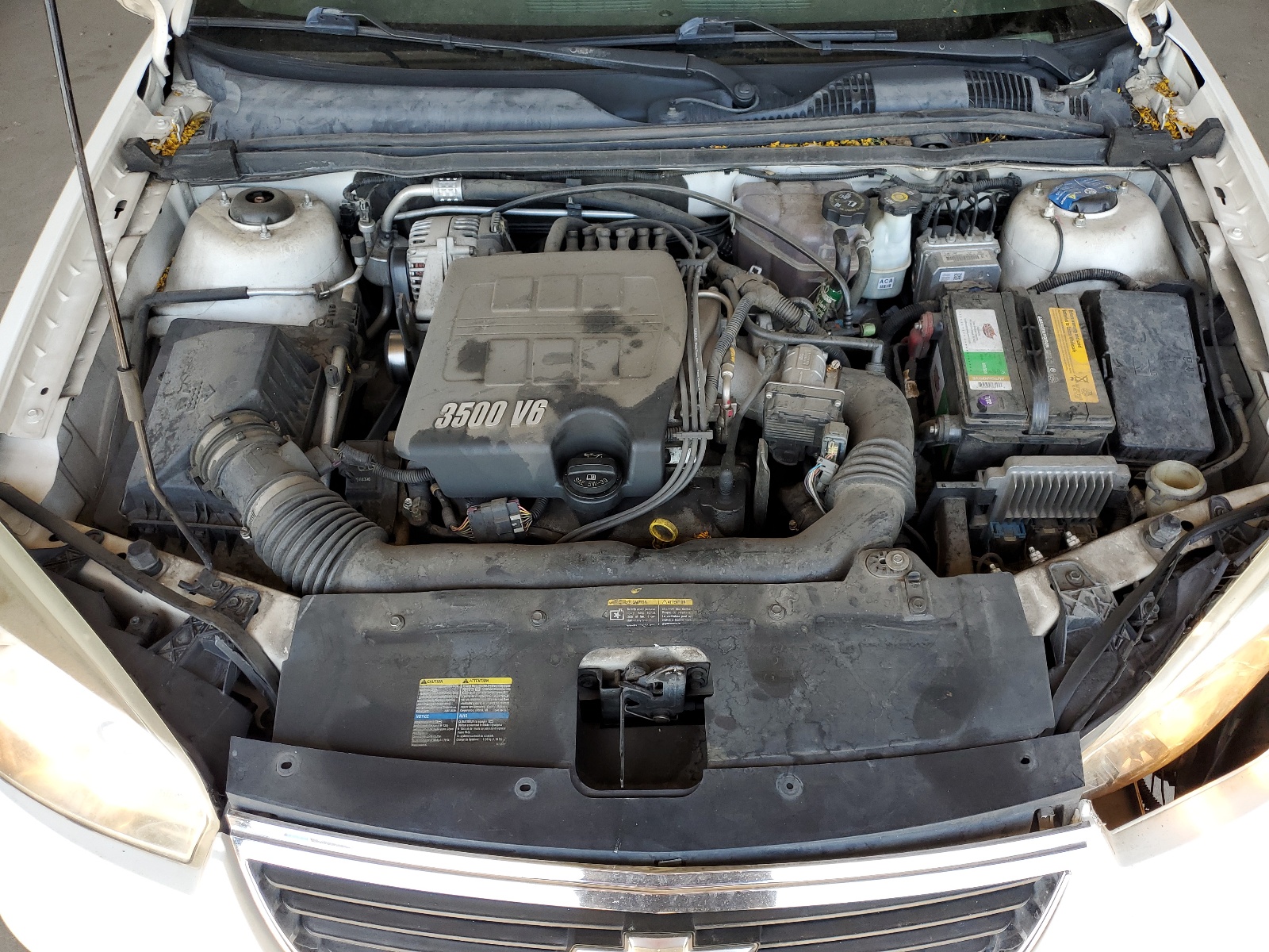 1G1ZT51846F170098 2006 Chevrolet Malibu Lt