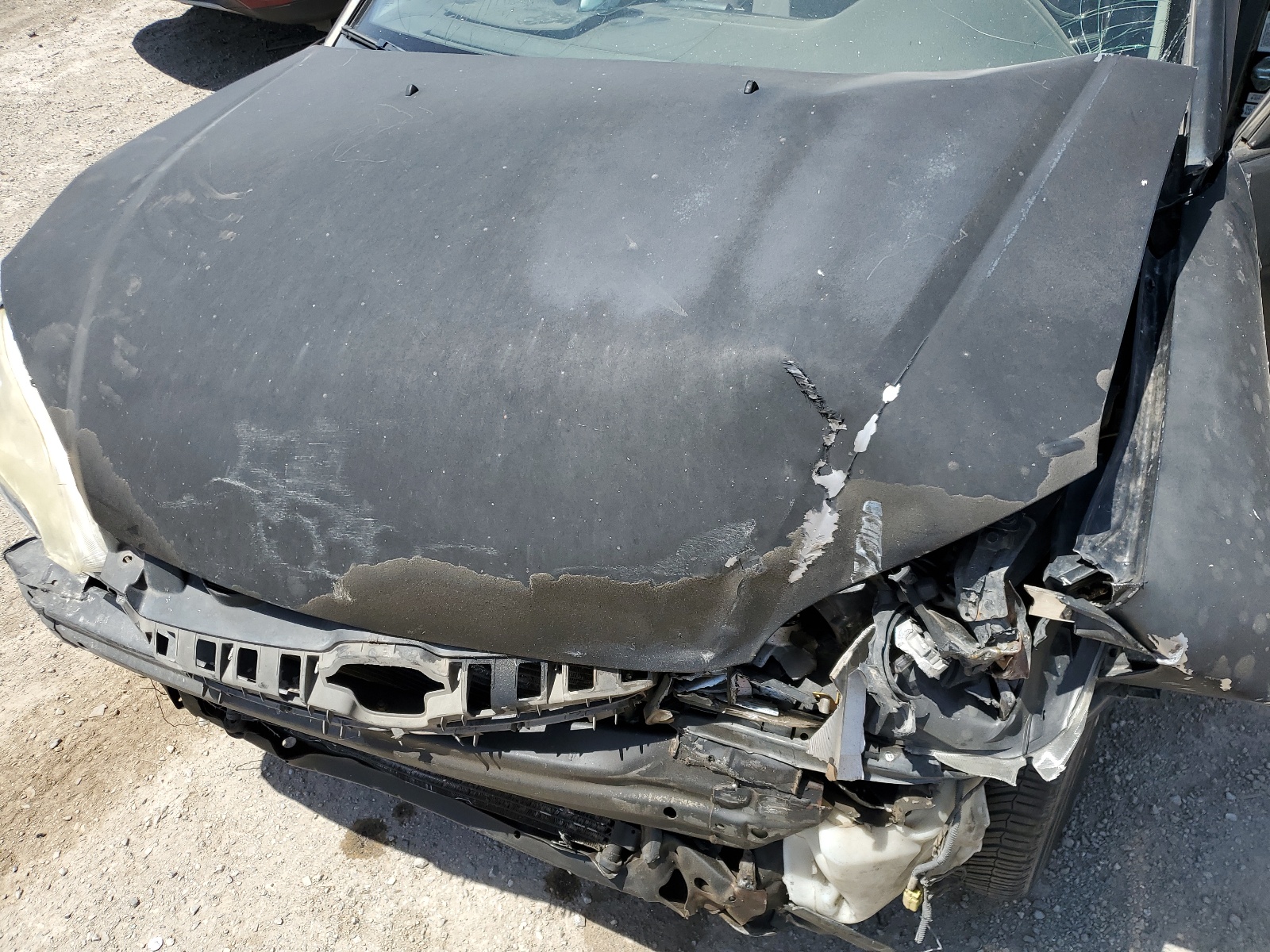 2HGES16574H608173 2004 Honda Civic Lx