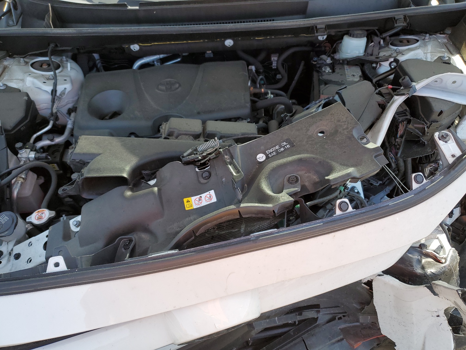 JTMP1RFV4LD530150 2020 Toyota Rav4 Xle