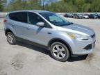 2013 Ford Escape Se for Sale in Ellwood City, PA - Front End