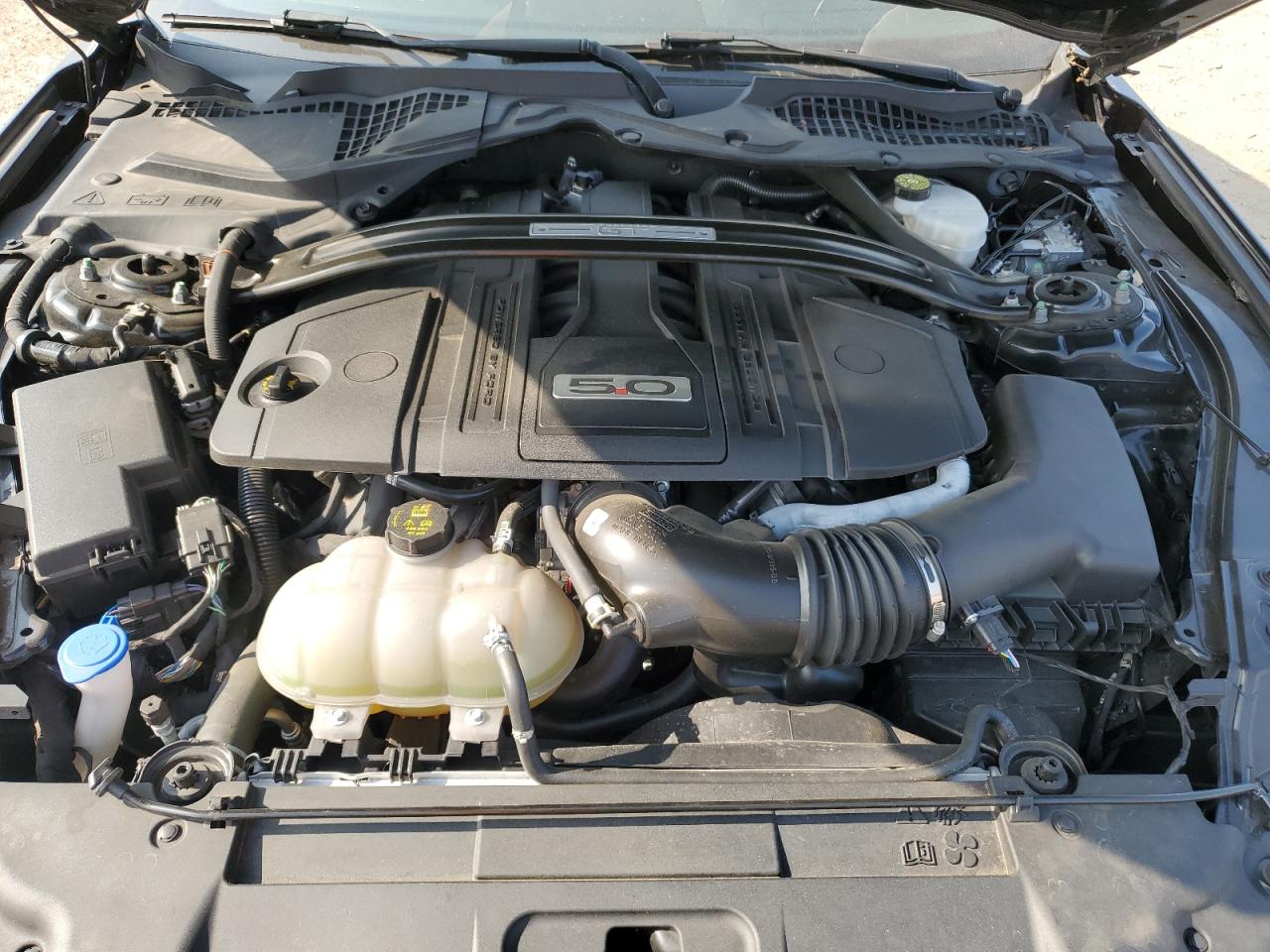 2021 Ford Mustang Gt VIN: 1FA6P8CF4M5119060 Lot: 56117984