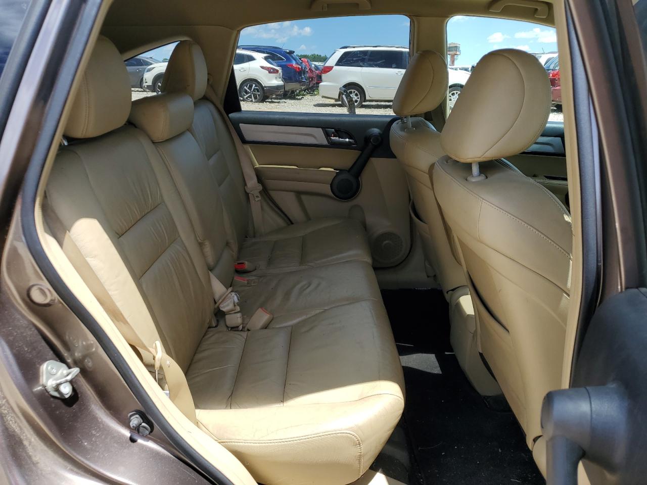 2010 Honda Cr-V Exl VIN: 5J6RE3H77AL033244 Lot: 56569614