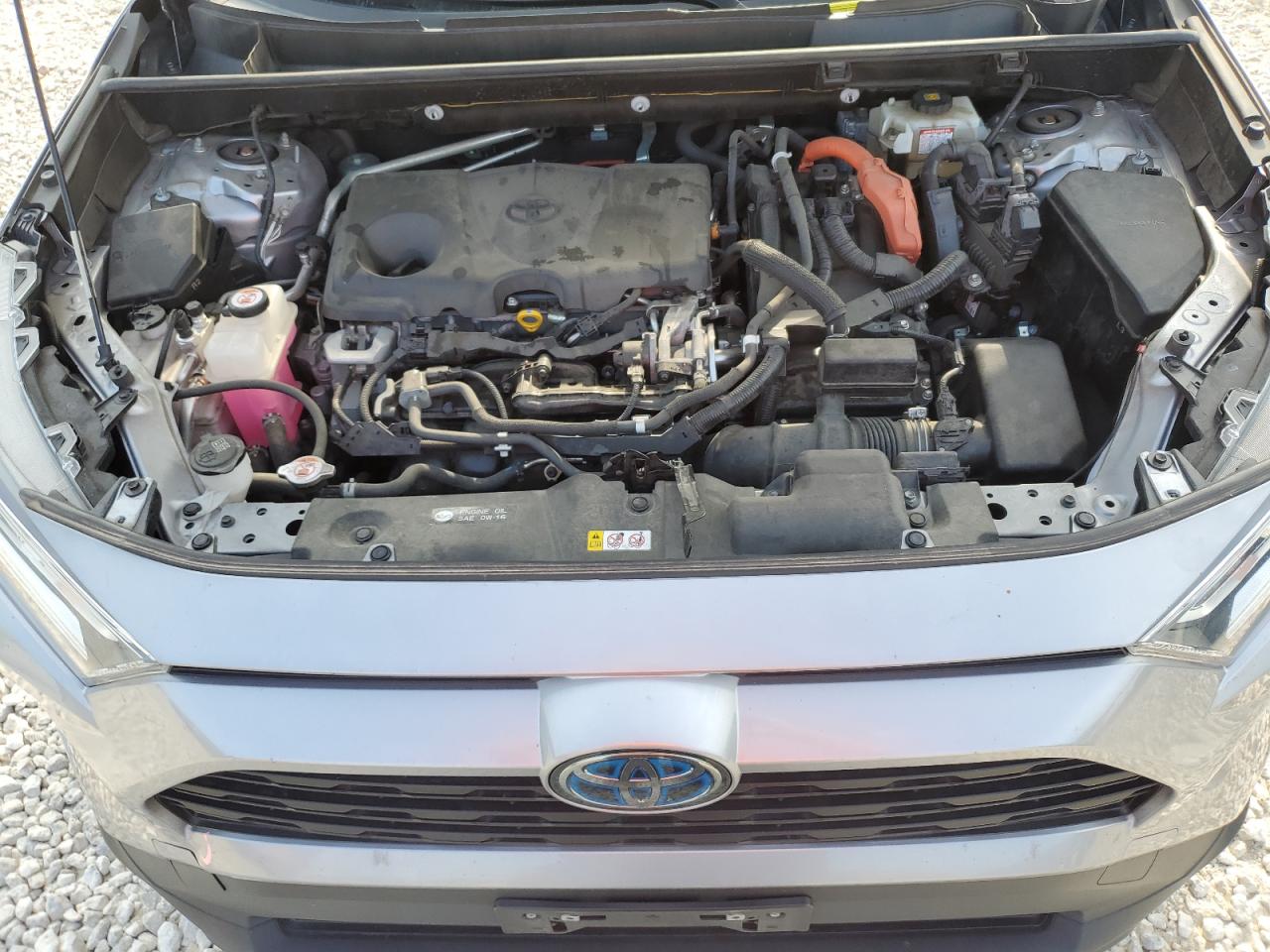 2020 Toyota Rav4 Xle VIN: JTMRWRFV4LD068487 Lot: 55553384