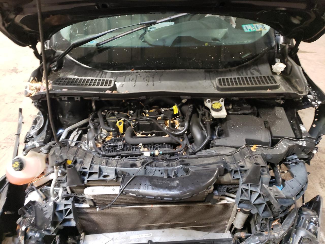 2019 Ford Escape Se VIN: 1FMCU0GD8KUA22491 Lot: 55449794