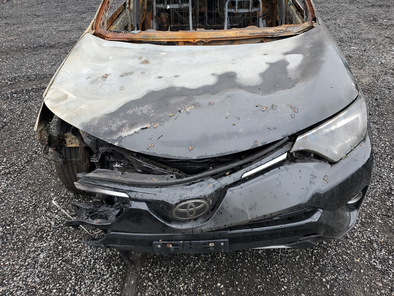 2T3DFREV9HW555612 2017 Toyota Rav4 Limited