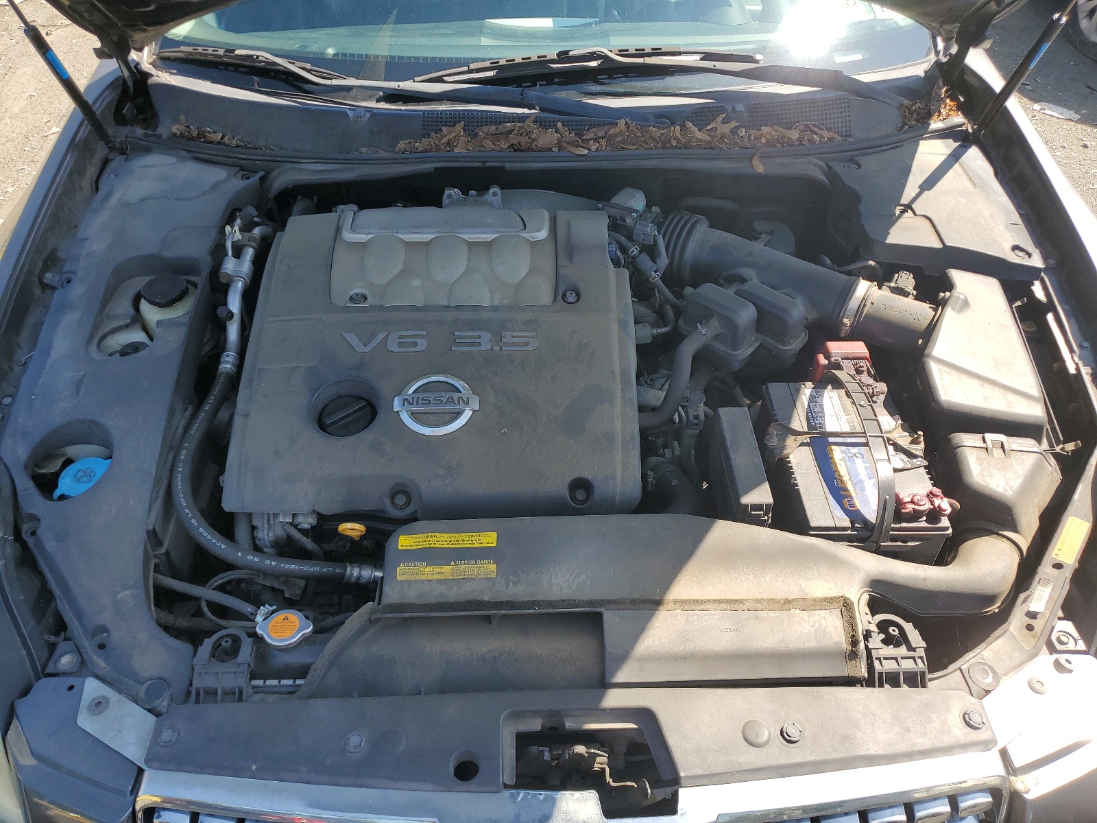 1N4BA41E25C806408 2005 Nissan Maxima Se