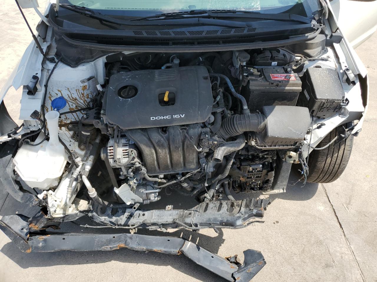 2017 Kia Forte Lx VIN: 3KPFK4A77HE081024 Lot: 55605704