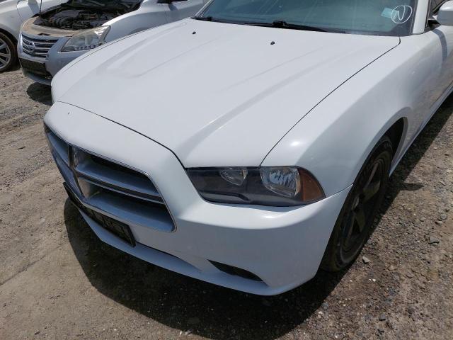 2C3CDXBG0EH366570 - 2014 DODGE CHARGER - #53886734