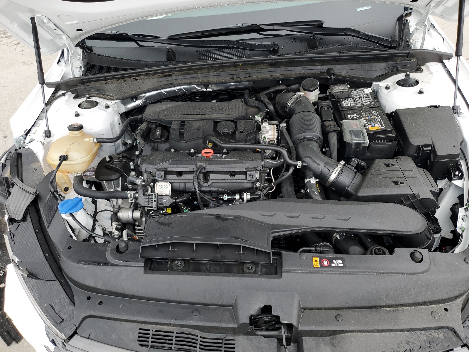 5XXG64J29RG264544 2024 Kia K5 Gt Line