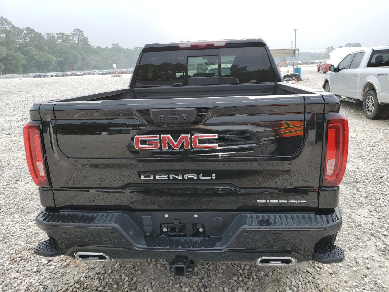 2023 GMC Sierra C1500 Denali VIN: 1GTPHGE86PZ320458 Lot: 54239094
