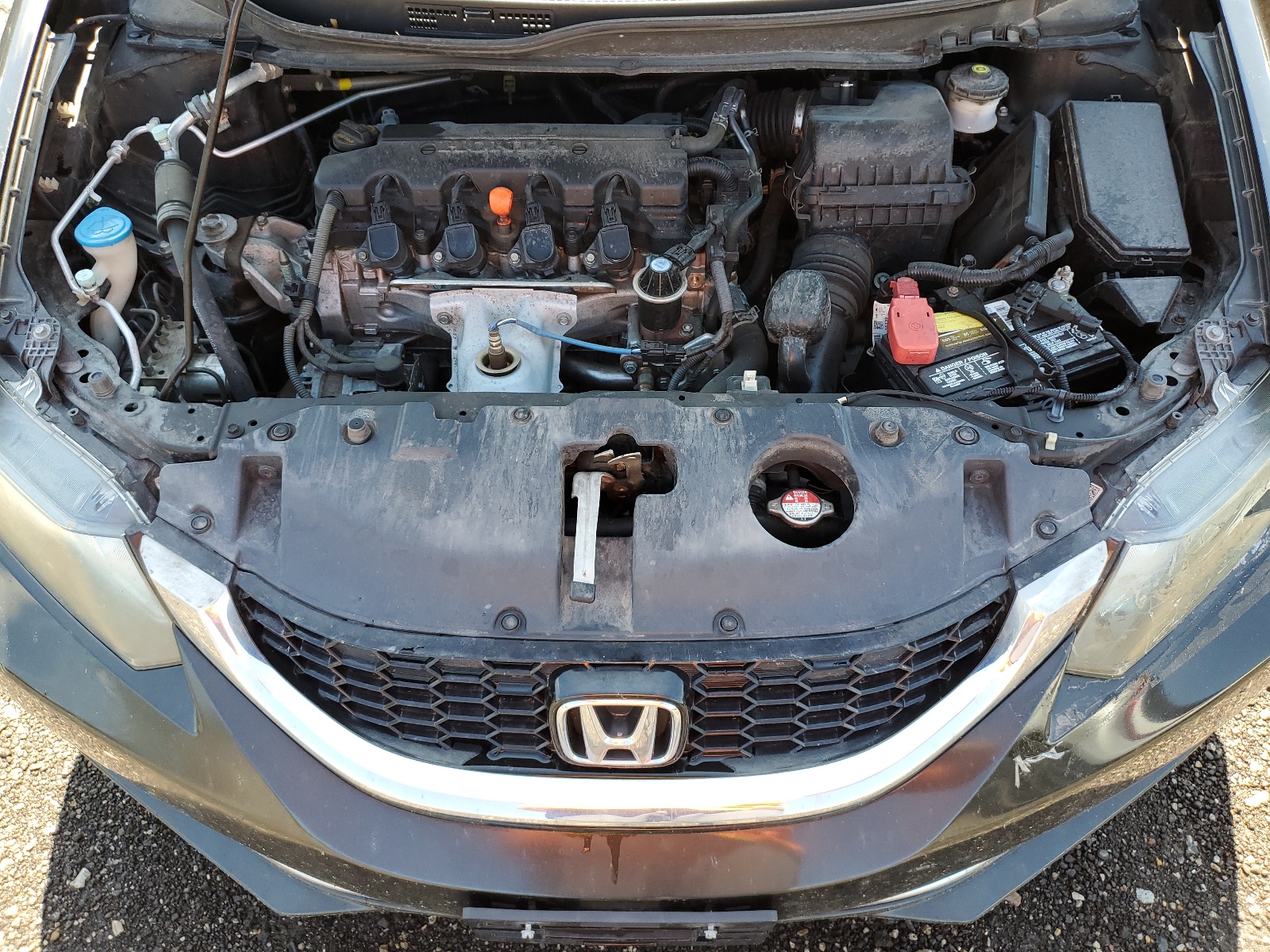 19XFB2F88DE070033 2013 Honda Civic Ex