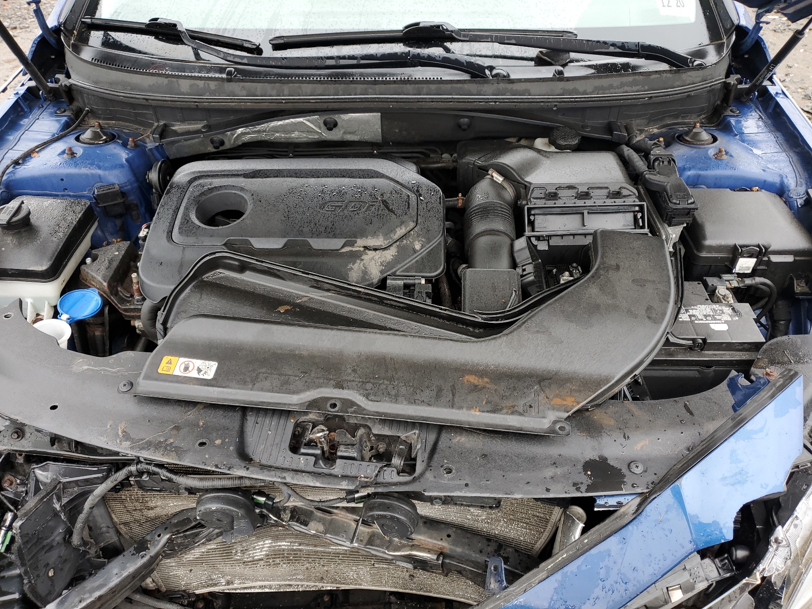 5NPE24AF8GH306516 2016 Hyundai Sonata Se