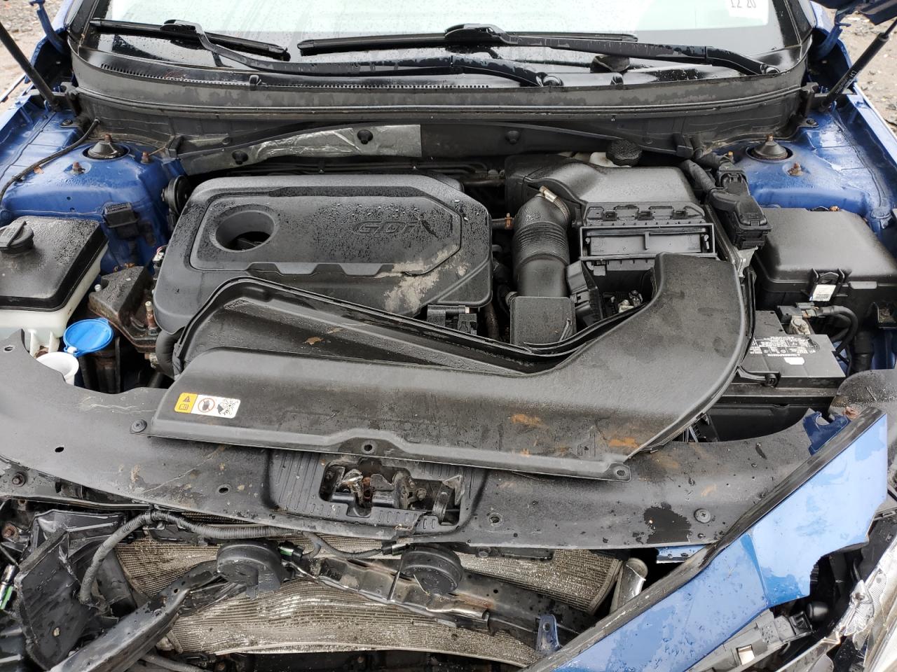 2016 Hyundai Sonata Se VIN: 5NPE24AF8GH306516 Lot: 54501034