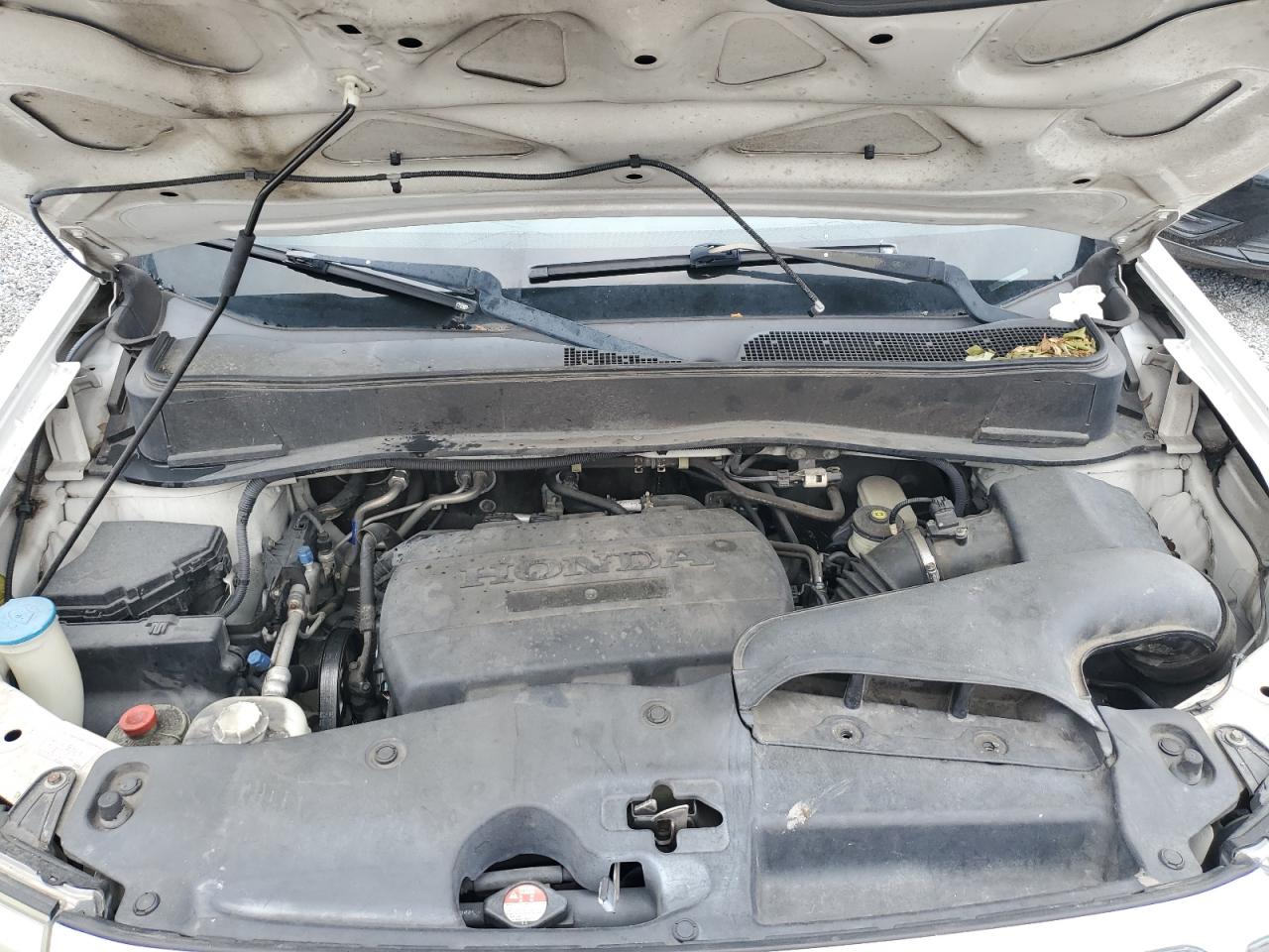 2009 Honda Pilot Exl VIN: 5FNYF38579B017749 Lot: 53125844