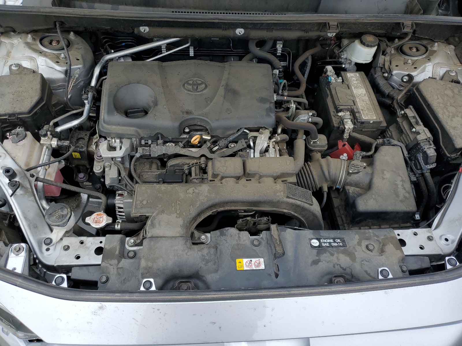2T3K1RFV6KW011984 2019 Toyota Rav4 Le