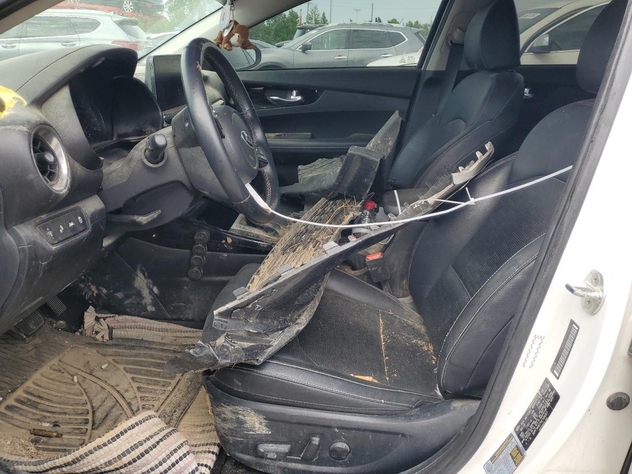 2019 Kia Forte Ex VIN: 3KPF54AD7KE106055 Lot: 55444624