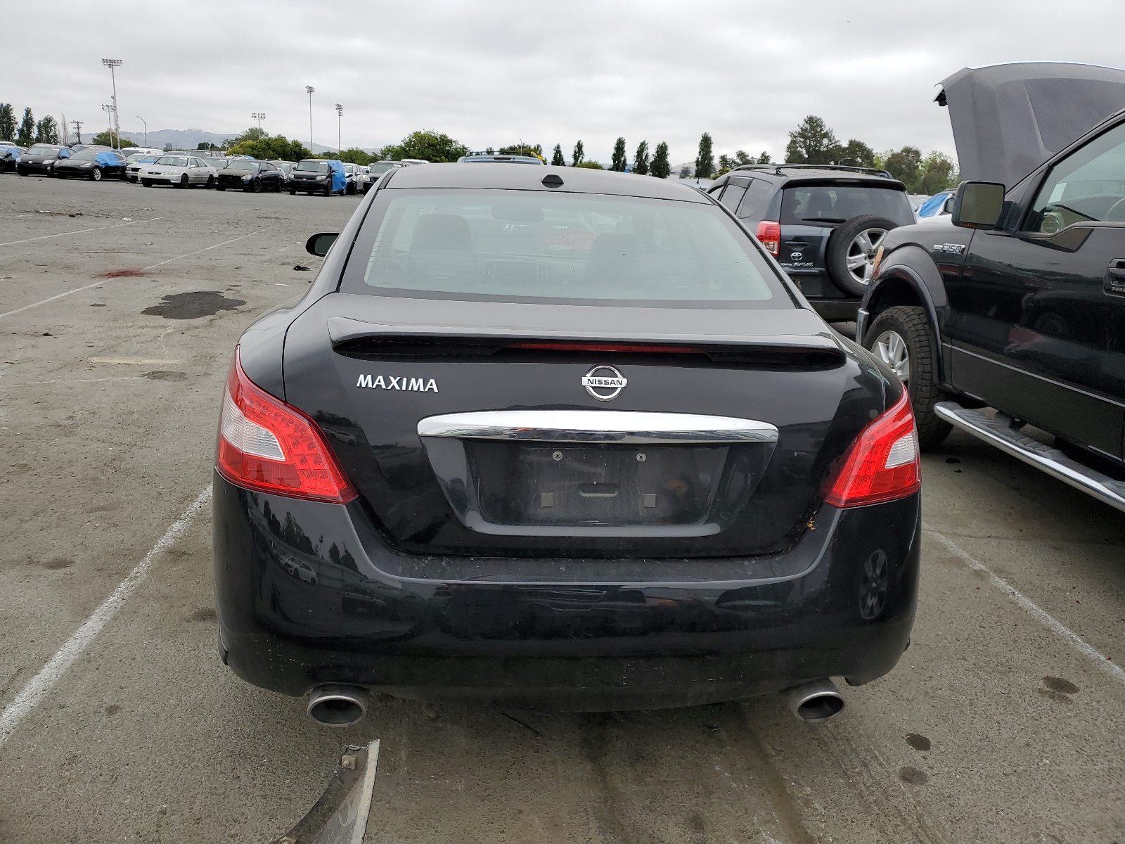 1N4AA5APXBC848436 2011 Nissan Maxima S