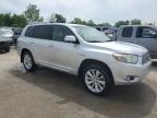 2009 Toyota Highlander Hybrid Limited en Venta en Bridgeton, MO - Hail