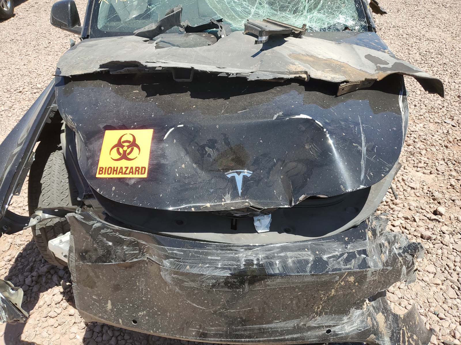 5YJYGDEE3MF212473 2021 Tesla Model Y