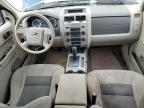 2008 Ford Escape Xlt   for Sale in Greenwell Springs, LA - Front End