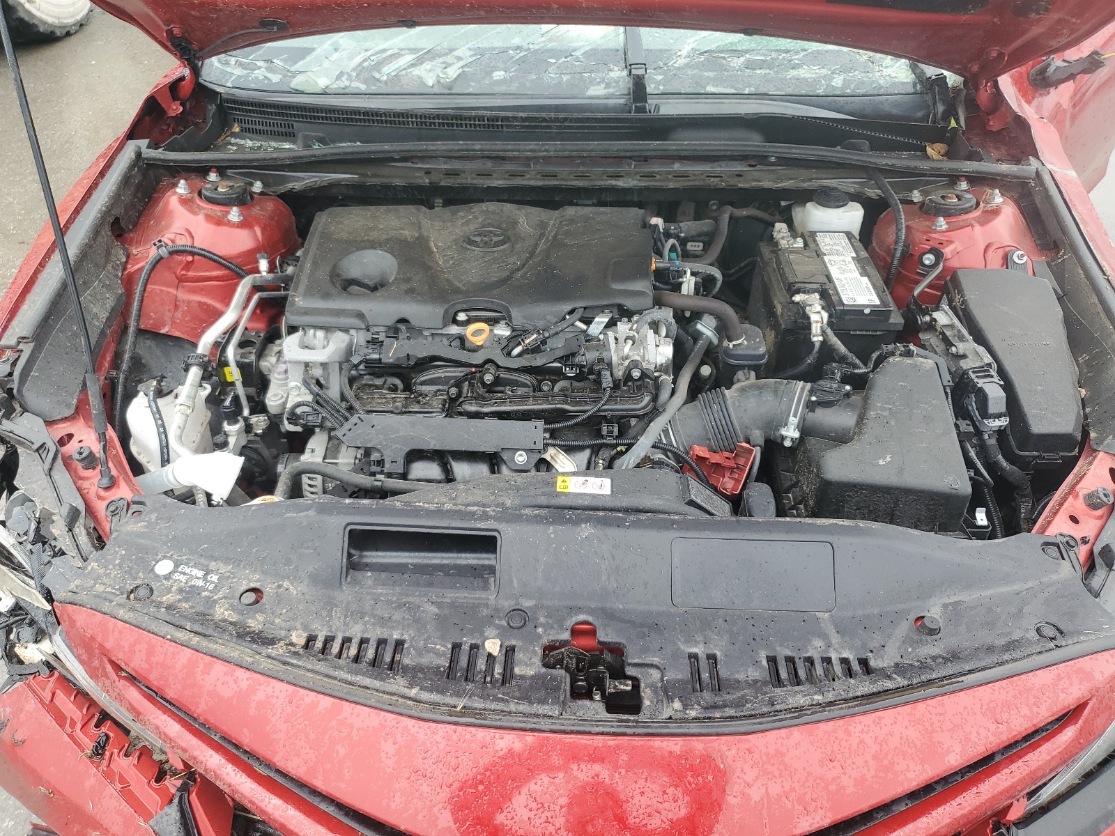 4T1G11AKXMU424510 2021 Toyota Camry Se