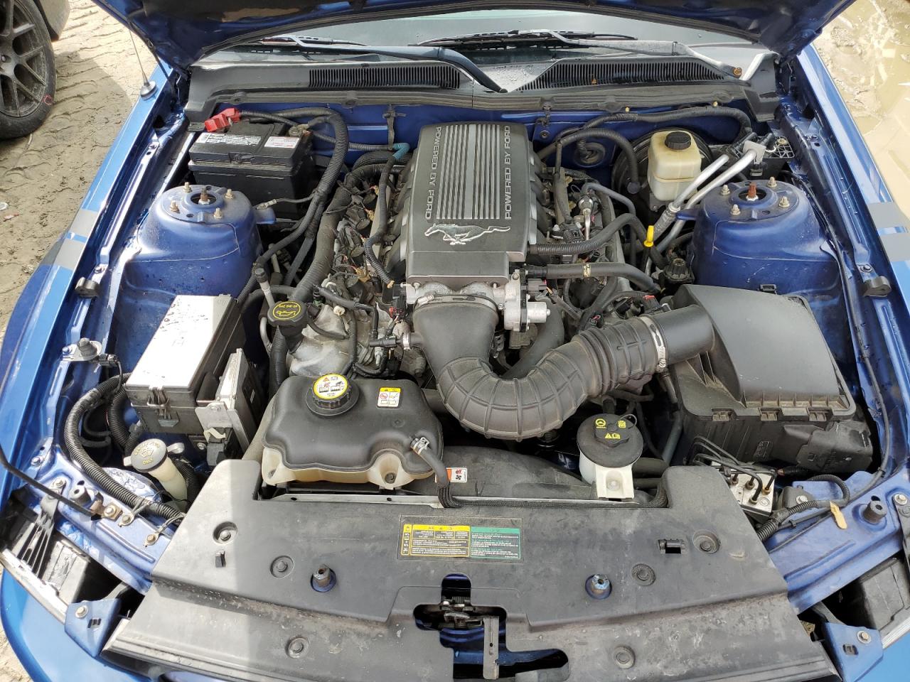 2007 Ford Mustang Gt VIN: 1ZVFT82H375242746 Lot: 56067344