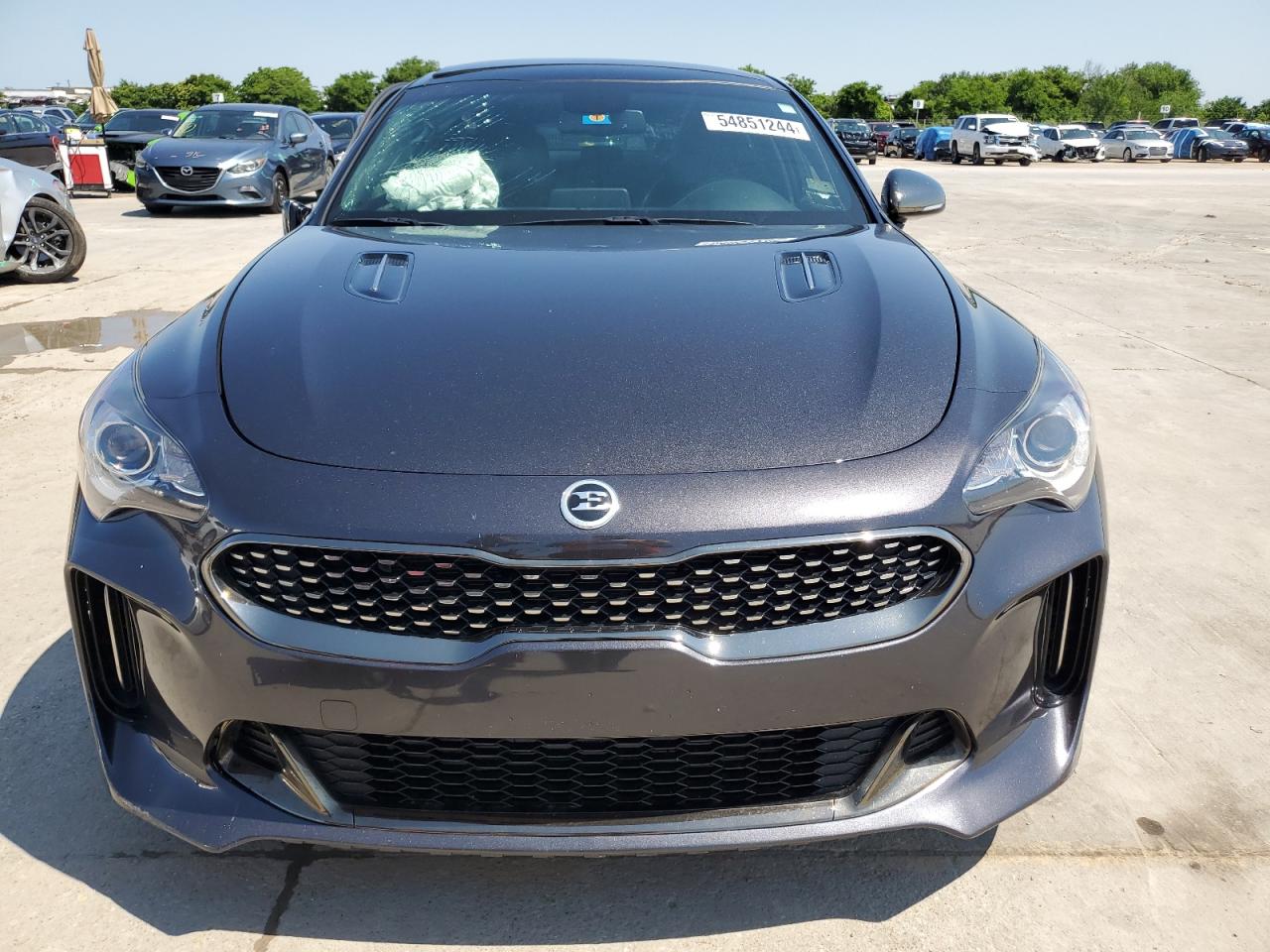 2021 Kia Stinger VIN: KNAE15LA8M6091376 Lot: 54851244