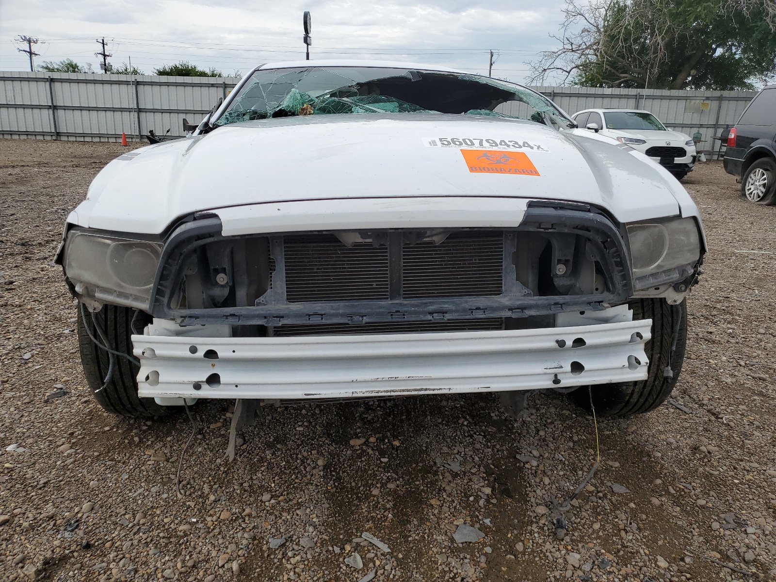 1ZVBP8AM2E5269967 2014 Ford Mustang