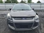 2014 Ford Escape Titanium for Sale in Grantville, PA - Front End