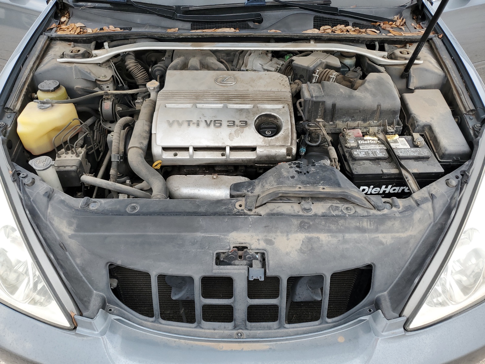 JTHBA30G555135925 2005 Lexus Es 330