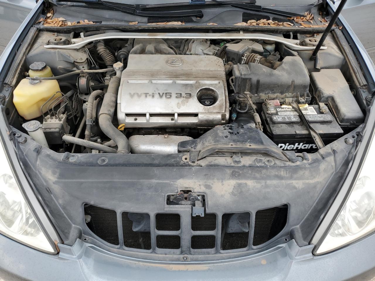 2005 Lexus Es 330 VIN: JTHBA30G555135925 Lot: 53554714