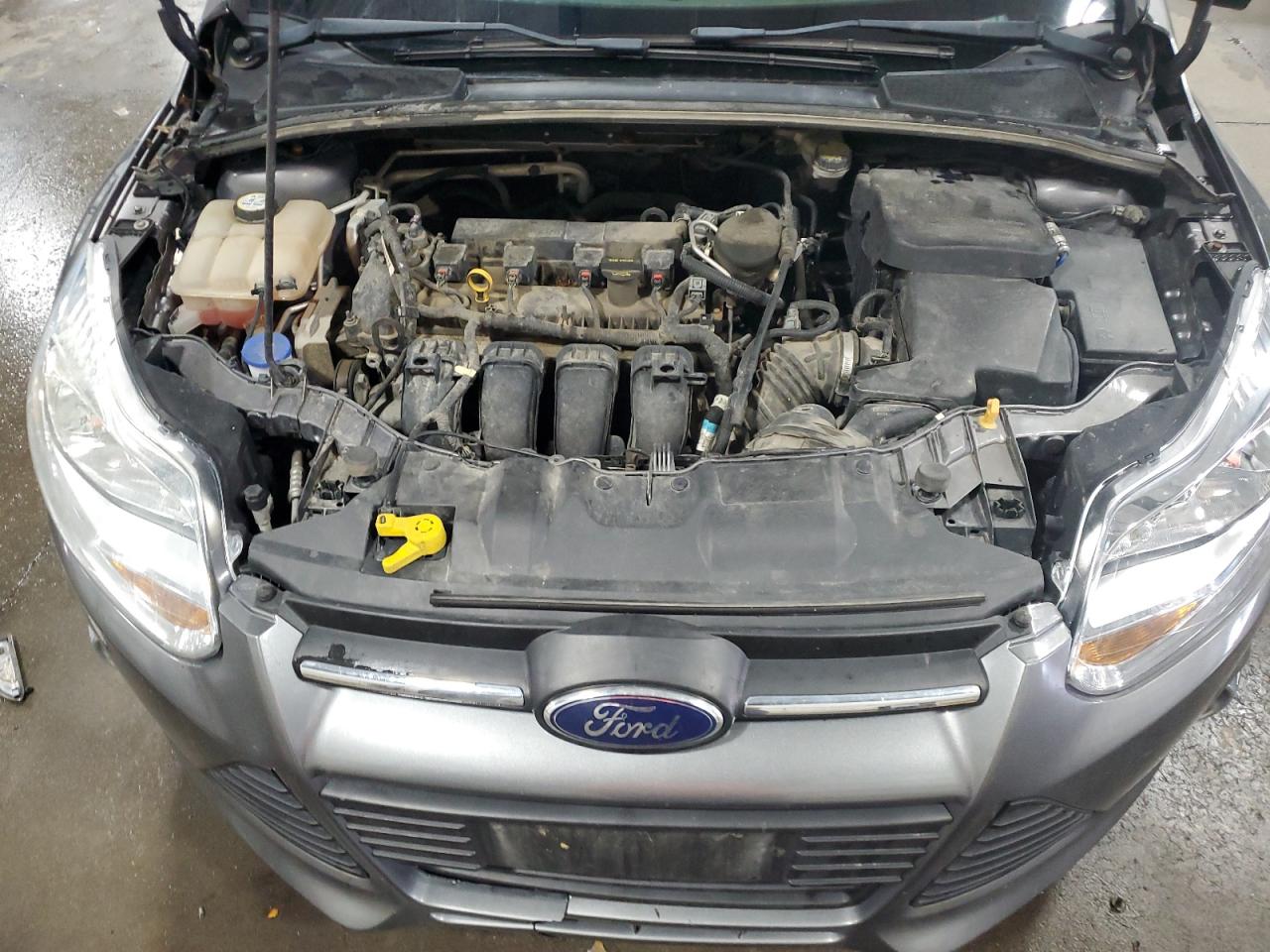 2013 Ford Focus Se VIN: 1FADP3F21DL164102 Lot: 55081734