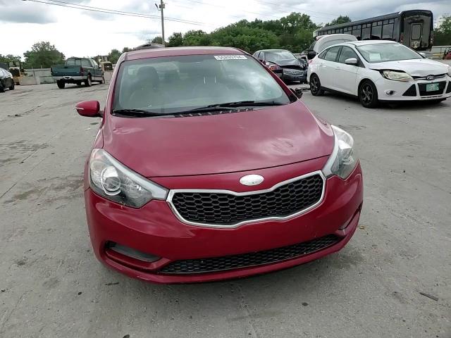 2014 Kia Forte Lx VIN: KNAFX4A63E5249352 Lot: 55205794