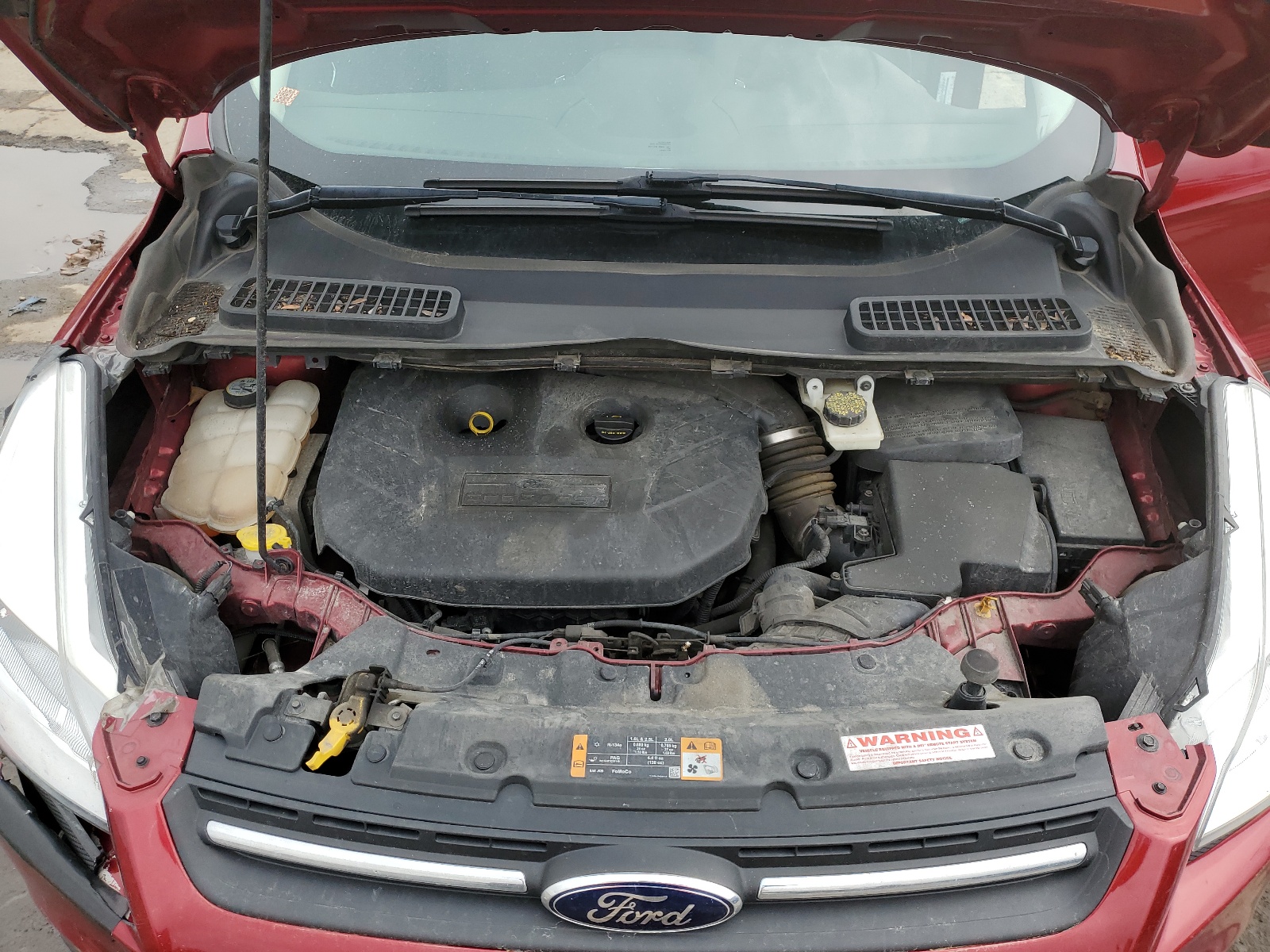 1FMCU0G99DUD51778 2013 Ford Escape Se