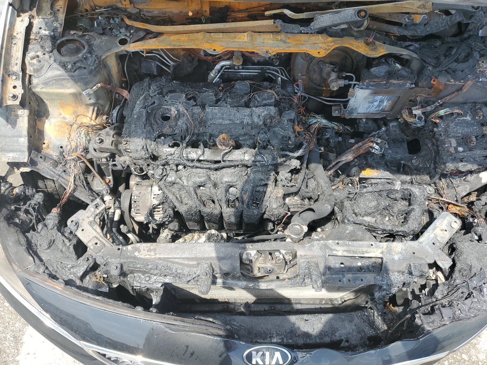 3KPFK4A70HE113165 2017 Kia Forte Lx